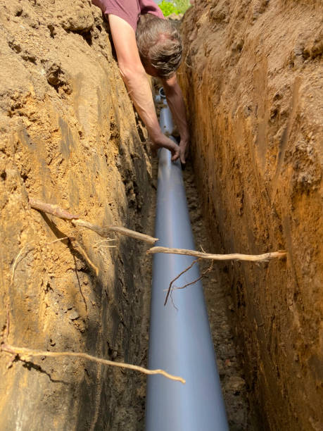 Best Flood damage cleanup  in Catalina Foothills, AZ