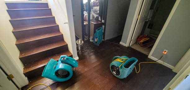 Best Water damage restoration near me  in Catalina Foothills, AZ