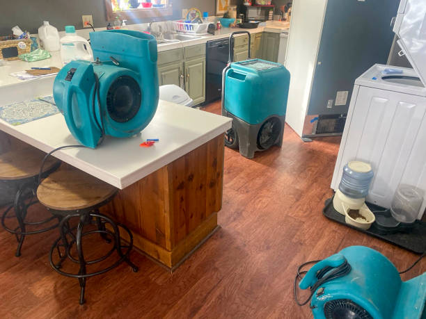 Best Basement water damage restoration  in Catalina Foothills, AZ