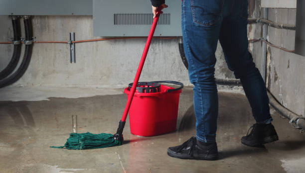 Best Mold removal after water damage  in Catalina Foothills, AZ
