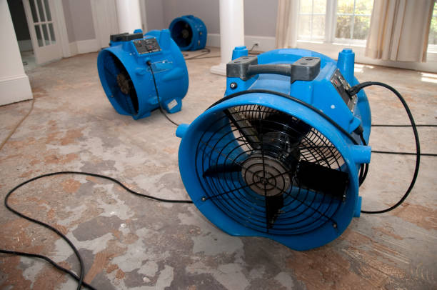 Best Commercial water damage restoration  in Catalina Foothills, AZ