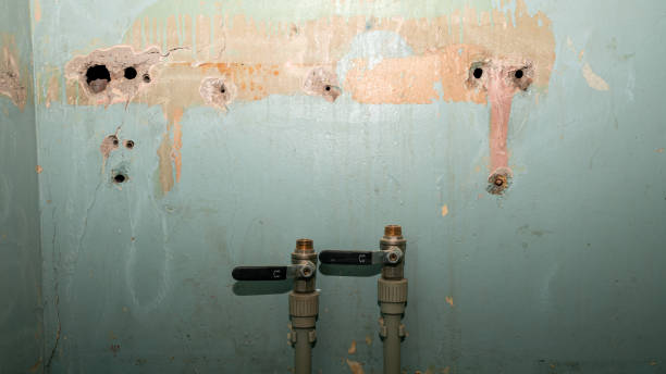 Best Water damage contractors near me  in Catalina Foothills, AZ