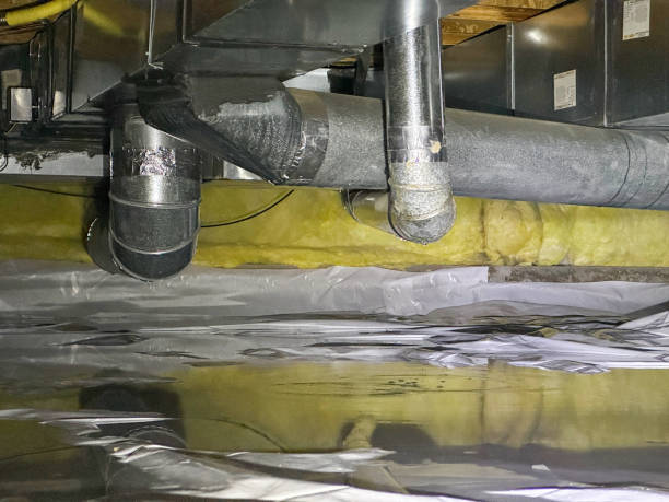Best Carpet water damage restoration  in Catalina Foothills, AZ
