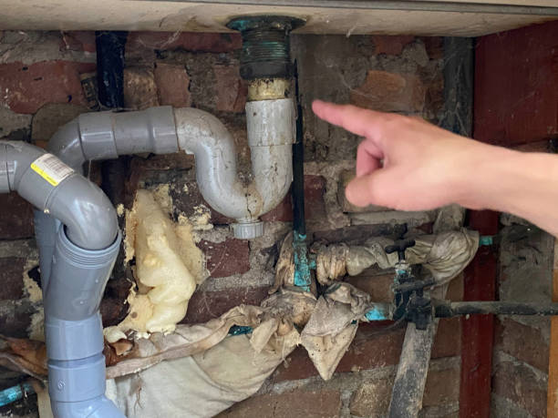 Best Water damage restoration insurance claims  in Catalina Foothills, AZ