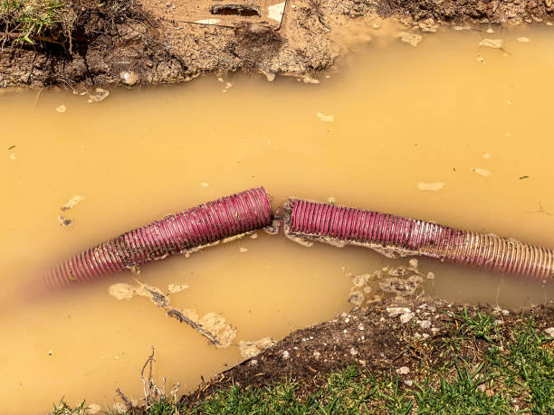 Best 24-hour water damage restoration  in Catalina Foothills, AZ